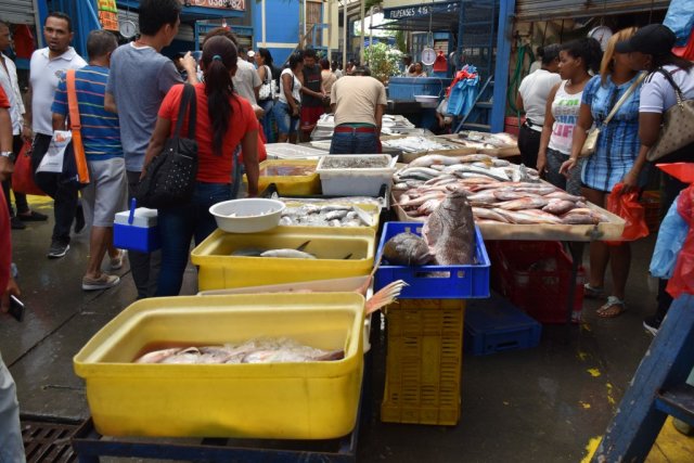 fish market 1