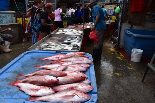 fish market 2